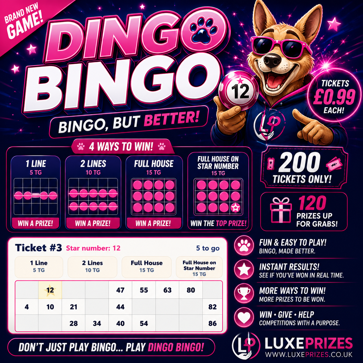 Dingo Bingo